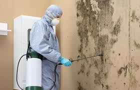 Best Commercial Mold Inspection  in Beverly Hills, FL